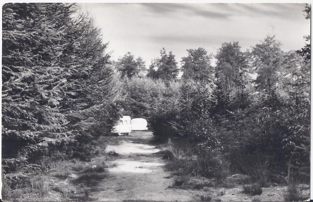 Lochem Ruighenrode oude gelopen ansichtkaart - B1071, Ophalen of Verzenden, 1940 tot 1960, Gelopen, Gelderland