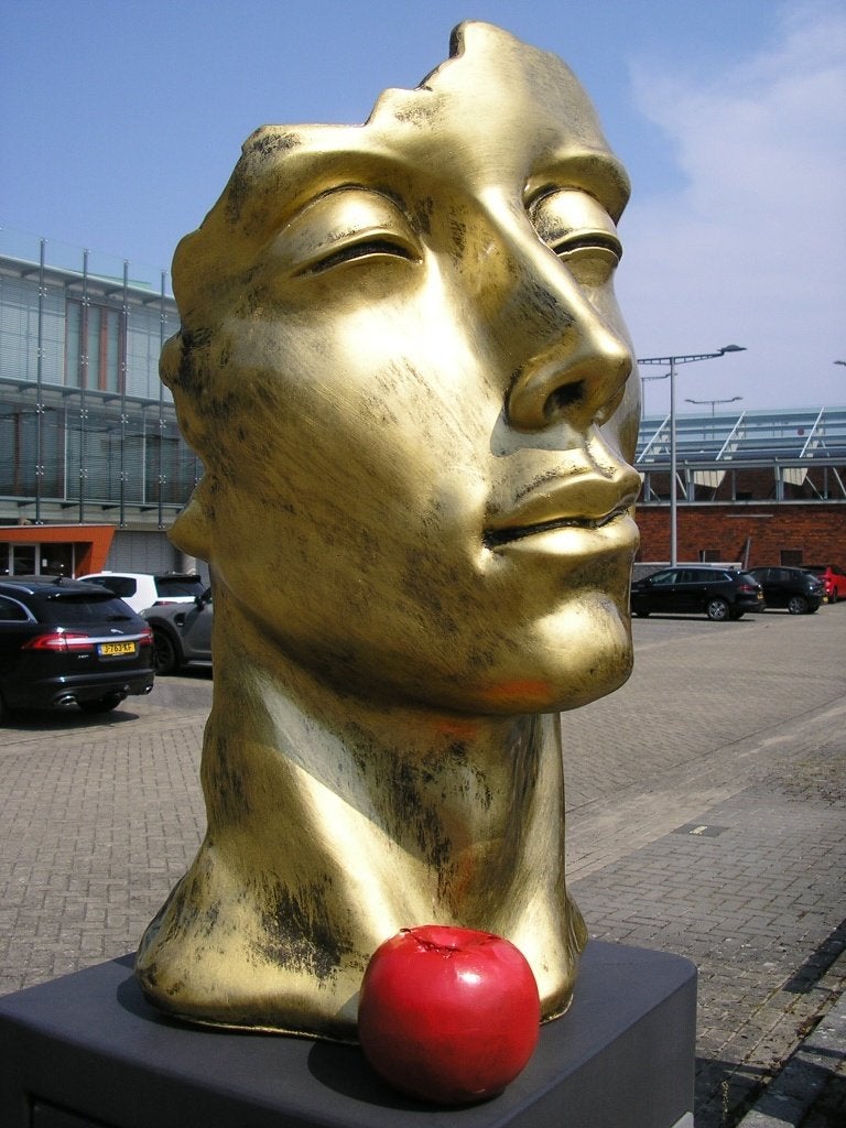 BEELD HET GEZICHT THE FACE, Ophalen