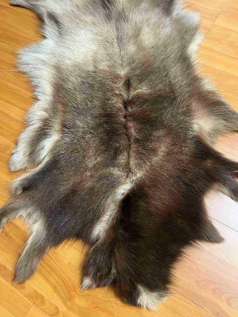 Rendierhuid vacht 110/60 cm, Gebruikt, 100 tot 150 cm, Etten-Leur, DJT@dejuistetoon.eu