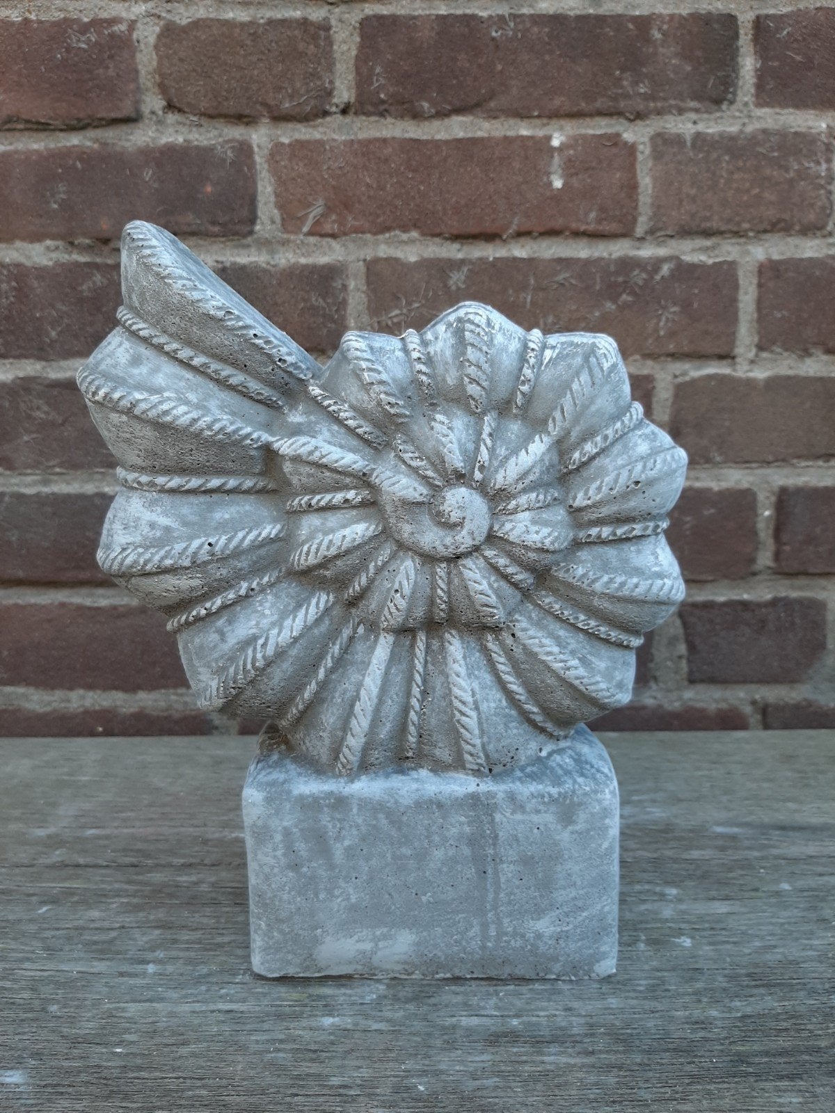 Schelp fossiel betonnen beeld tuinbeeld beton, Ophalen of Verzenden