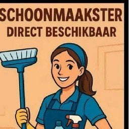 schoonmaakster aangeboden, Starter, Overige vormen, Overige uren, Overige niveaus