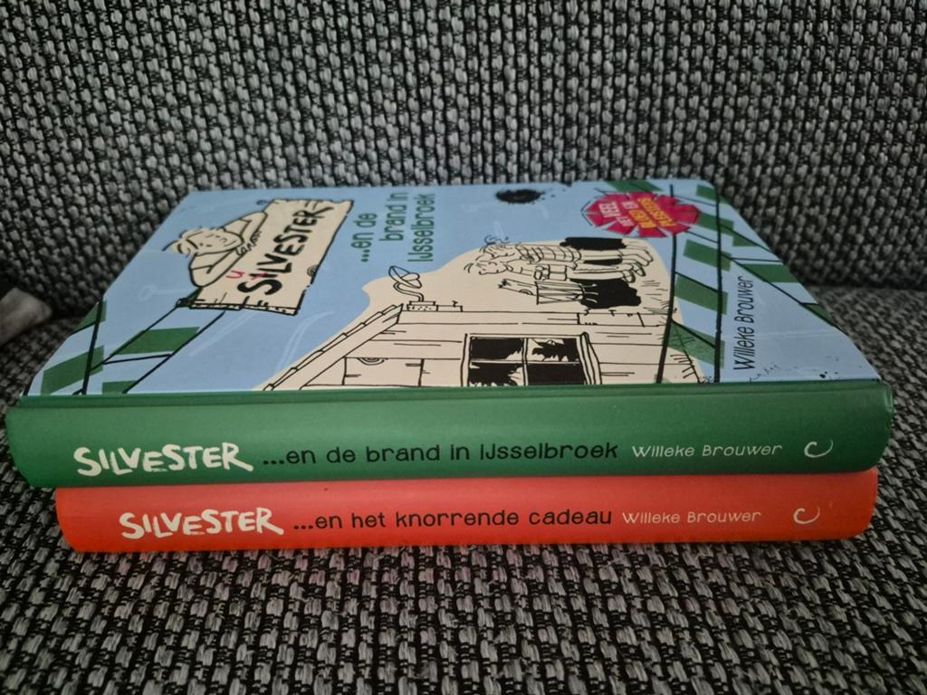 Silvester boeken, Ophalen of Verzenden, Gelezen, Willeke Brouwer, Fictie