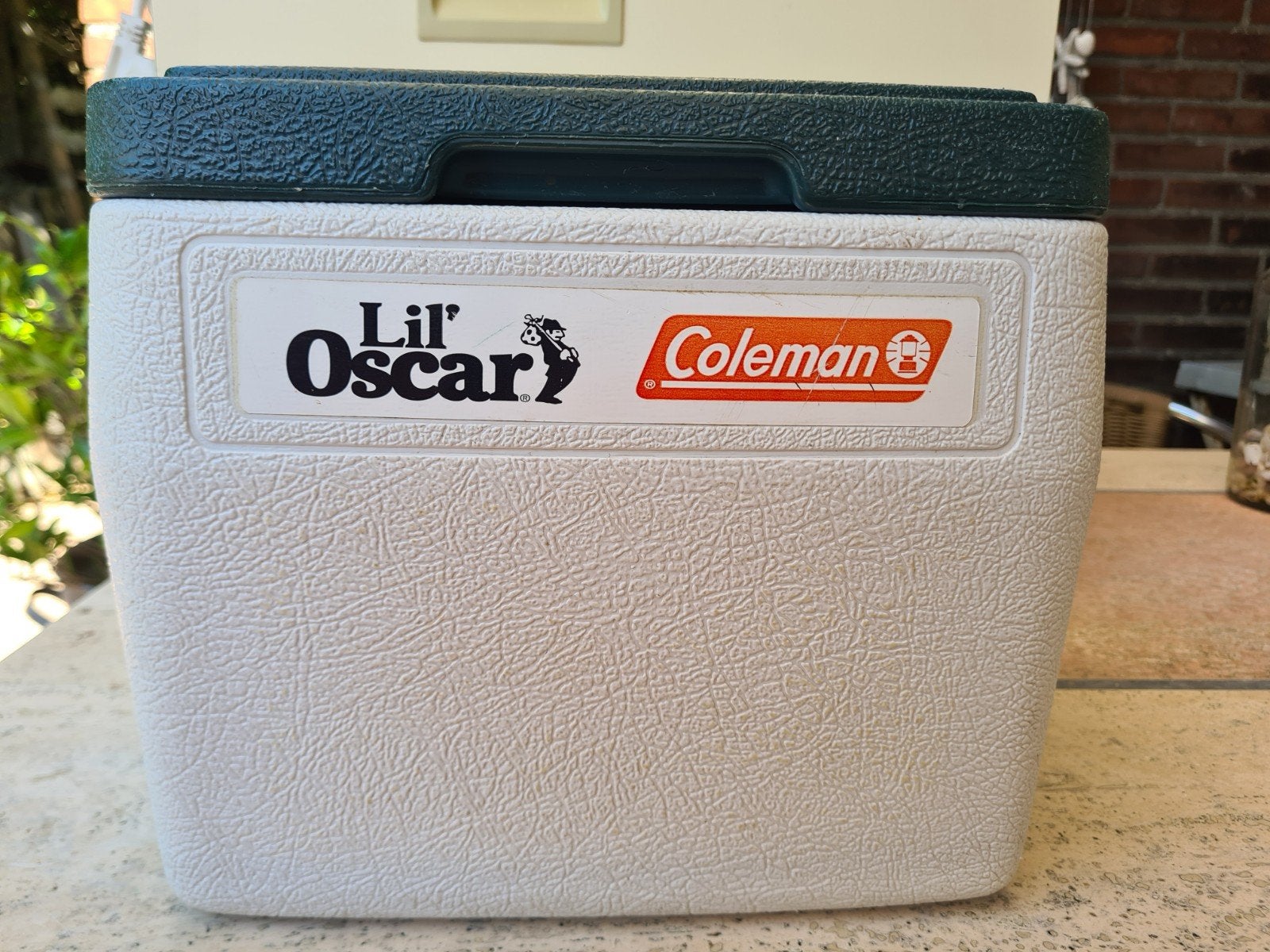 koelbox coleman, Ophalen of Verzenden, Koelelement
