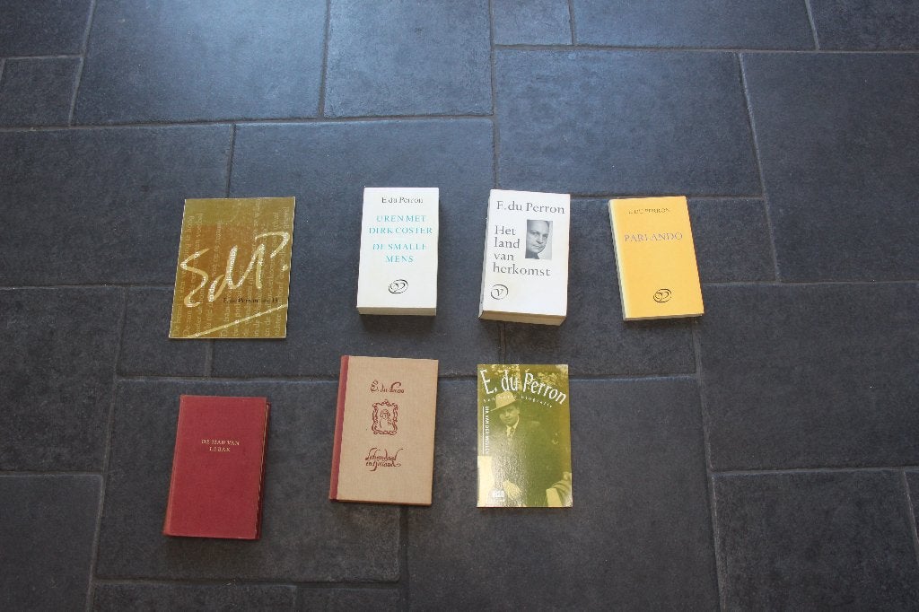 E. du Perron, Boeken, Ophalen of Verzenden, Gelezen, Perron, E du