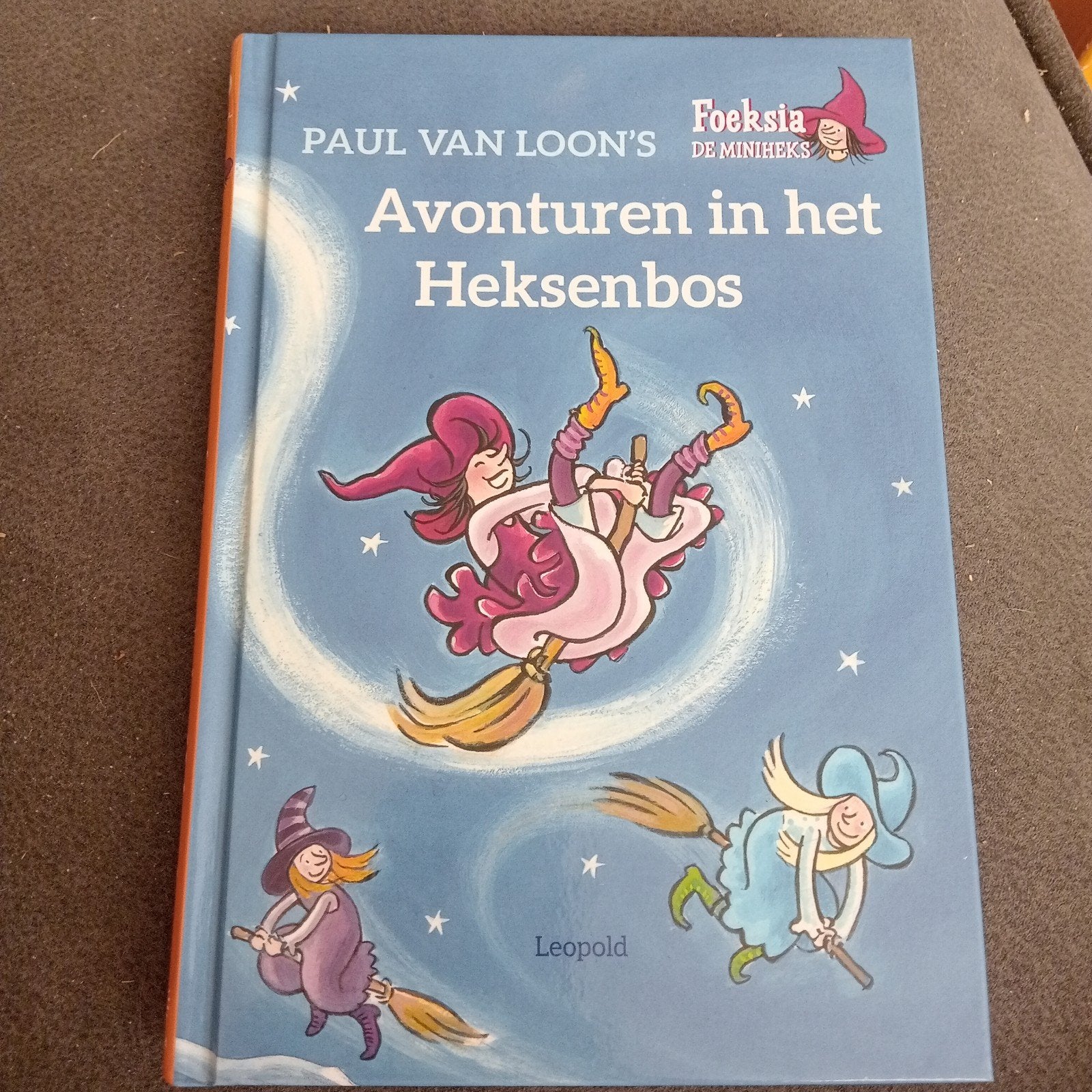 Te koop avonturen in het heksenbos, Ophalen, Paul van Loon, Zo goed als nieuw, Sprookjes