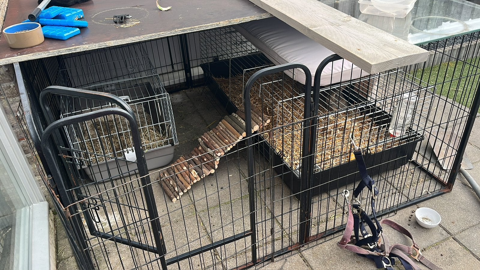 Groot konijnen hok., Cavia, Hok, Ophalen, Minder dan 60 cm