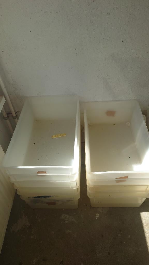 Labbakken T4, Dieren en Toebehoren, Ophalen, Minder dan 75 cm, Kooi, Minder dan 60 cm