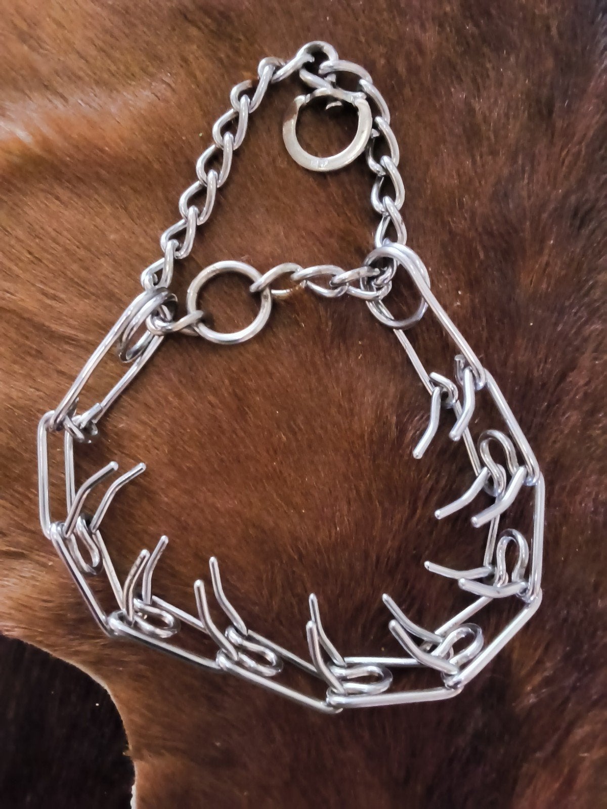 pikband    halsband, Dieren en Toebehoren, Ophalen of Verzenden