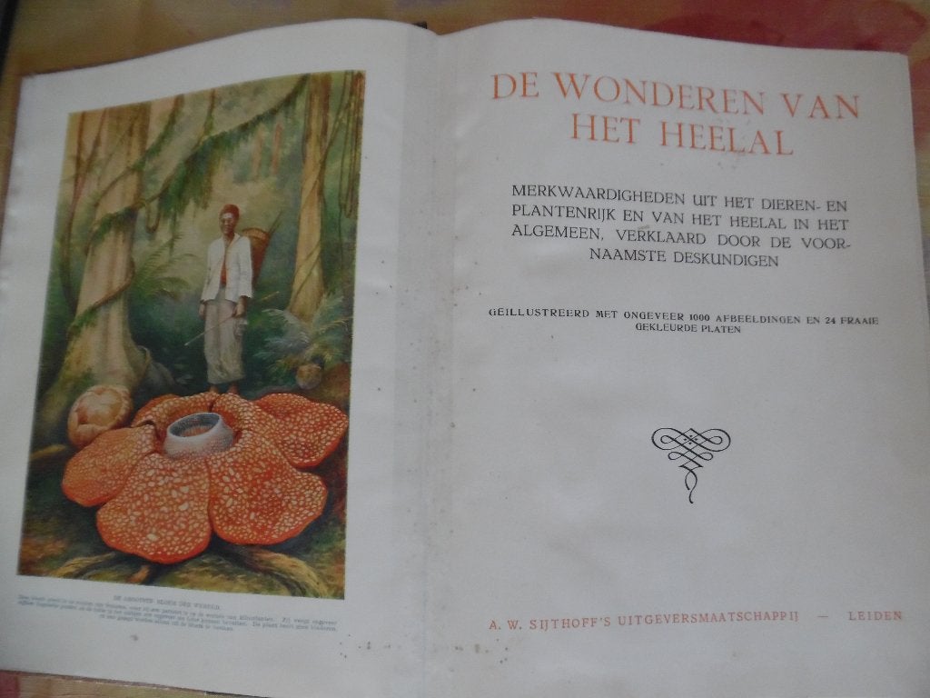 De Wonderen van het Heelal, Uitg. Sijfhoff, Ophalen of Verzenden, Gelezen, Natuurwetenschap