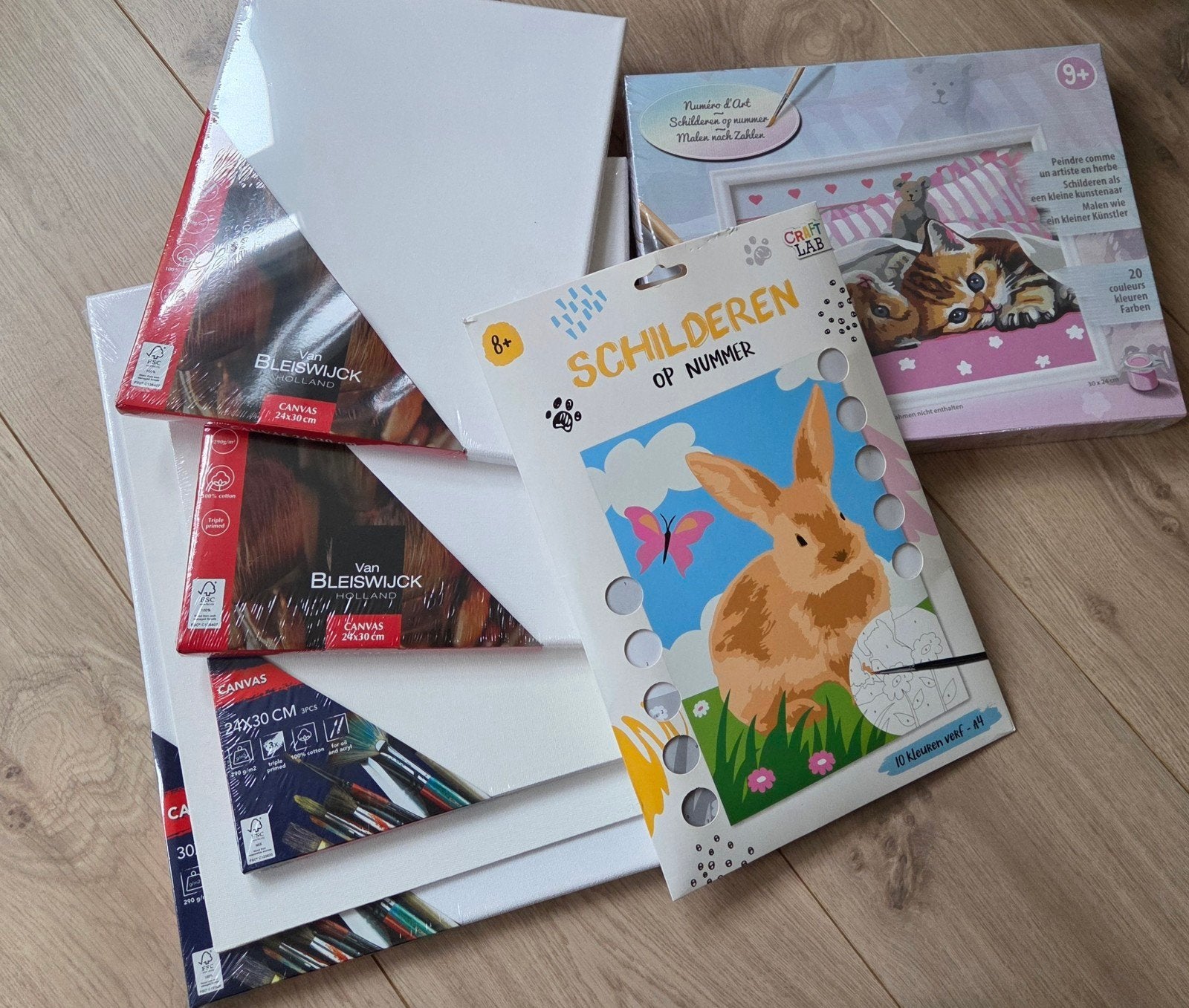 Nieuwe Canvasdoeken en Schilderen op Nummer Sets, Ophalen of Verzenden