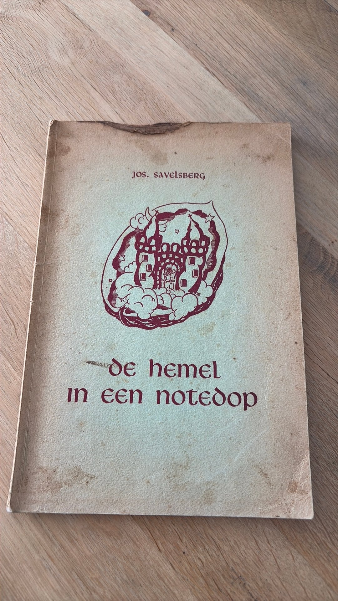 De Hemel in een Notedop - Jos Savelberg, Ophalen of Verzenden, Gelezen