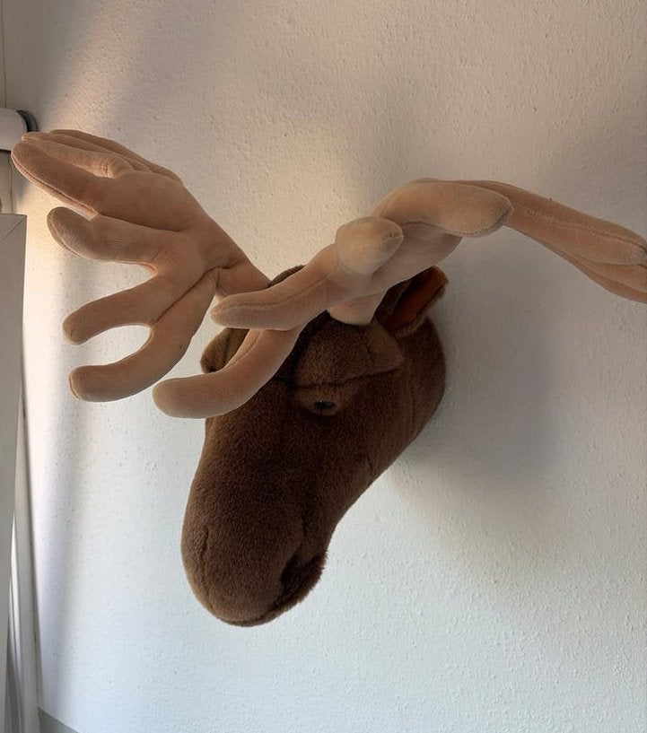 Wild & Soft Eland Hoofd - Pluche Wanddecoratie, Ophalen, Gebruikt, Overige stijlen, Bruin