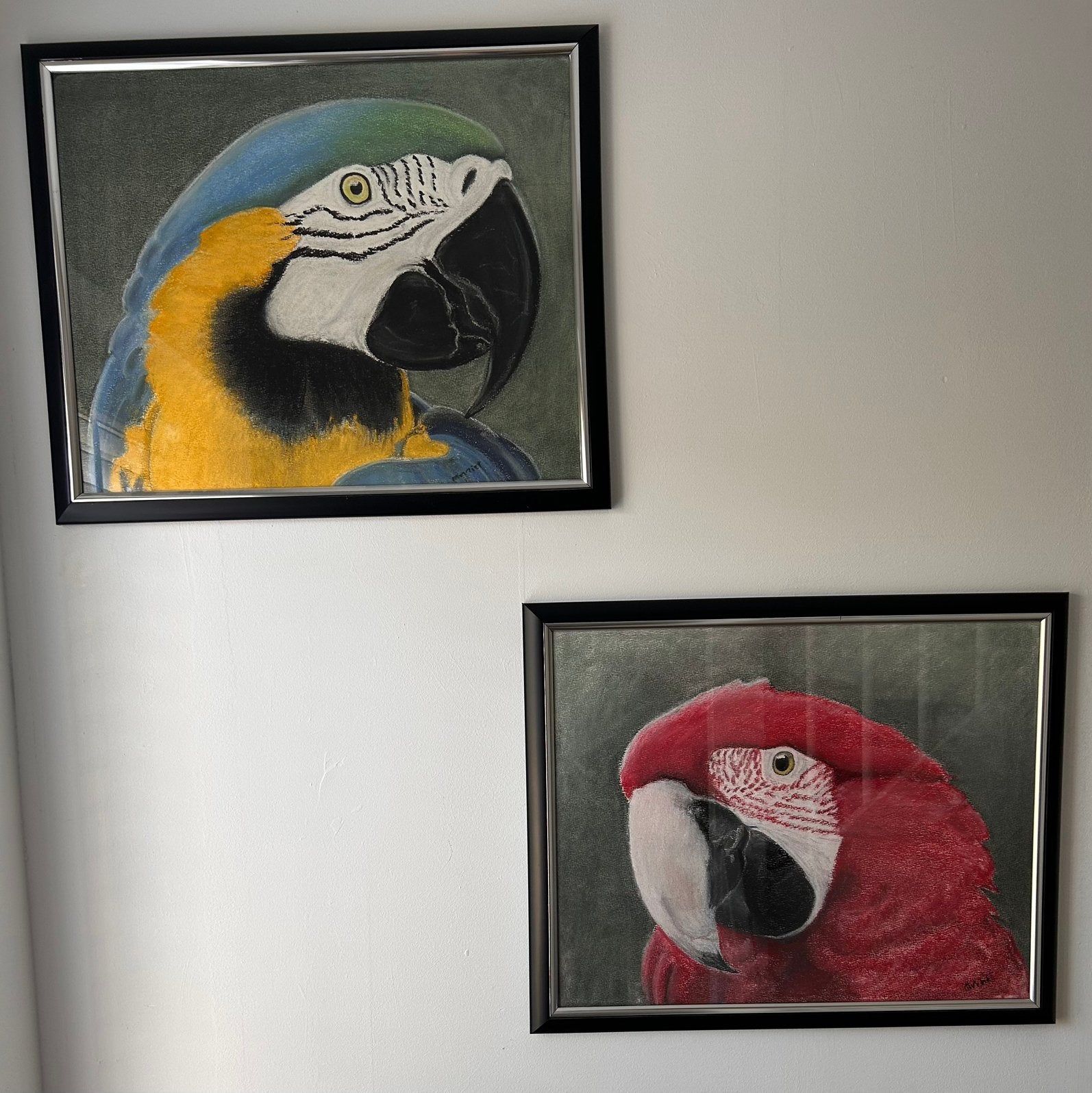 Set van 2 gesigneerde schilderijen: Ara’s/papegaaien, Ophalen