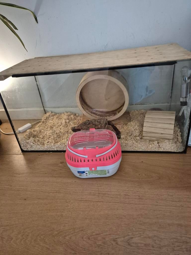 Hamster met hok, Dieren en Toebehoren, Knaagdieren en Konijnen | Hokken en Kooien, Gebruikt, Kooi, Minder dan 60 cm, Minder dan 75 cm