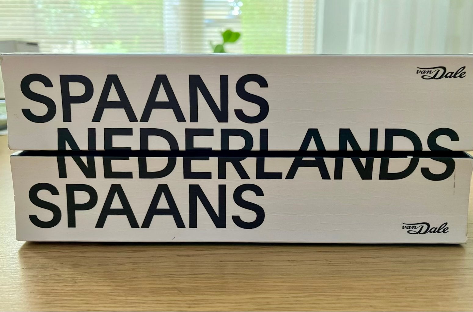 Woordenboek Spaans/Nederlands en Nederlands/Spaans, Ophalen, Zo goed als nieuw, Van Dale, Spaans