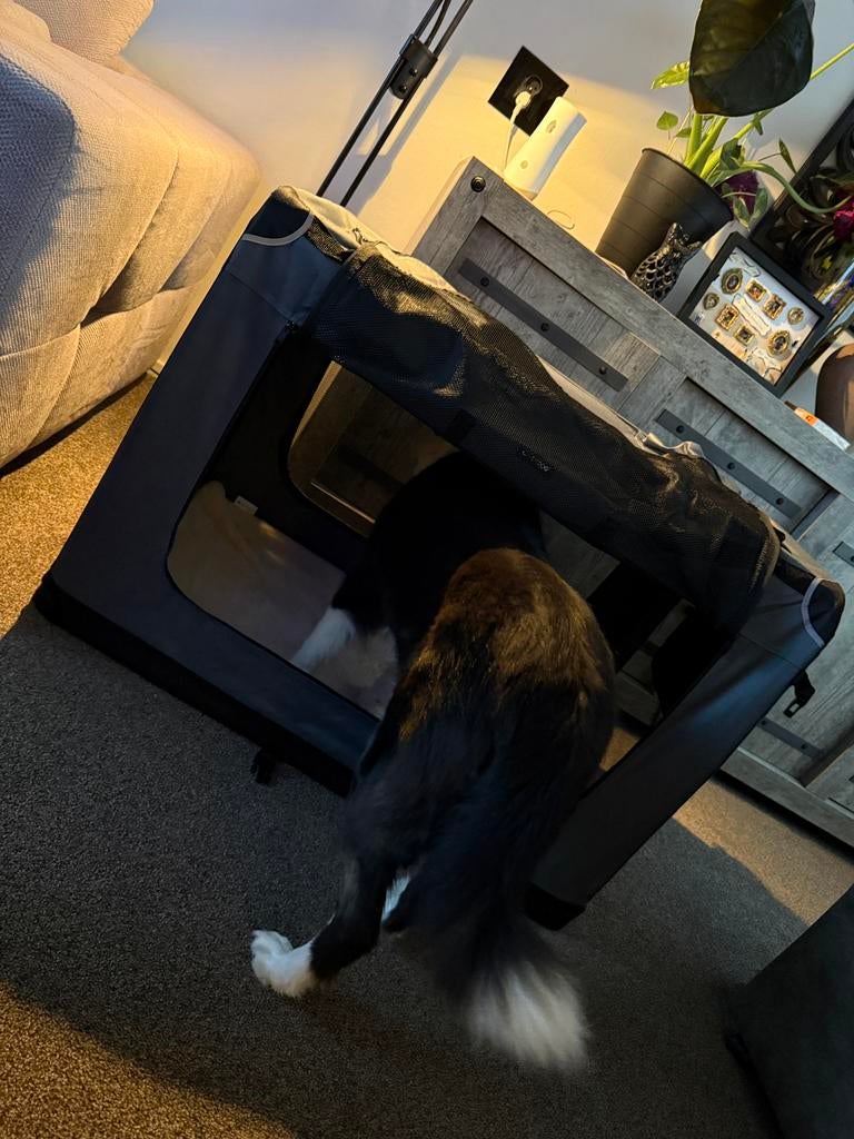 Honden bench/Transporter XXL, Ophalen, Nieuw