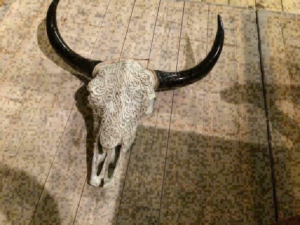 Skull groot wit gegraveerd NIEUW (vele soorten op voorraad), Ophalen of Verzenden, Nieuw