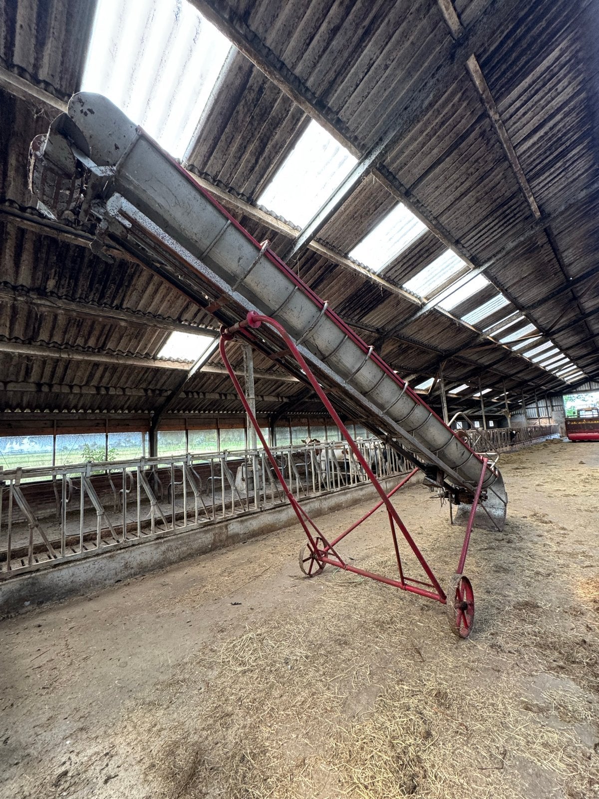 Trioliet voerband - transporteur, Ophalen, Veehouderij, Voertechniek