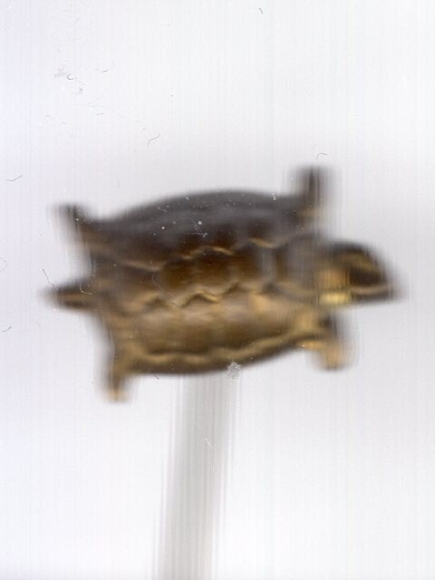 Schildpad Kolen  koper speldje ( C_065 ), Verzamelen, Ophalen of Verzenden, Nieuw, Merk, Speldje of Pin