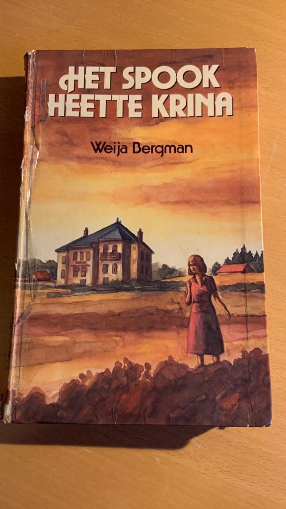 Het spook heette Krina - Weija Bergman, Boeken, Romans, Ophalen of Verzenden