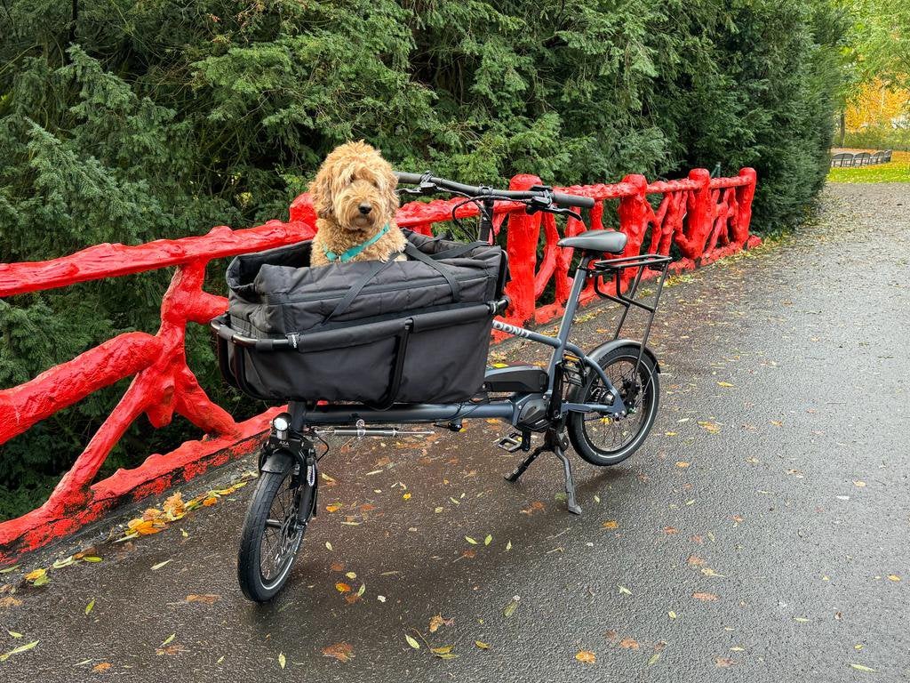 WINTHER BIMAS i:SY bakfietsen kinderen en hond SALE!!, Ophalen of Verzenden, Nieuw, 4 kinderen of meer, Overige merken