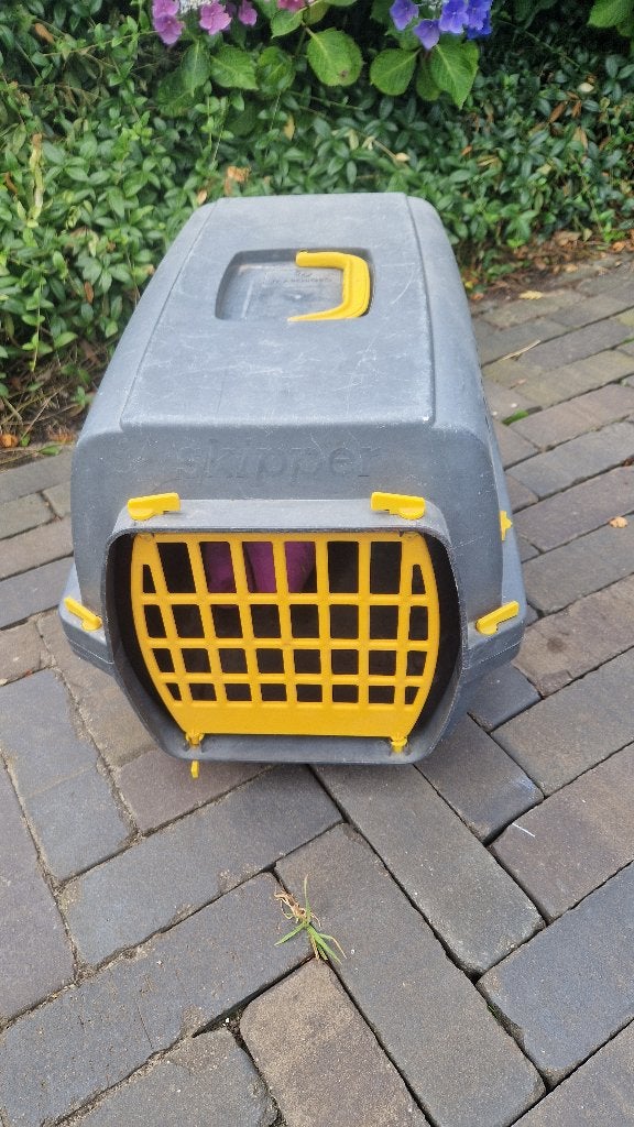 kattenreismand, Ophalen of Verzenden, Gebruikt