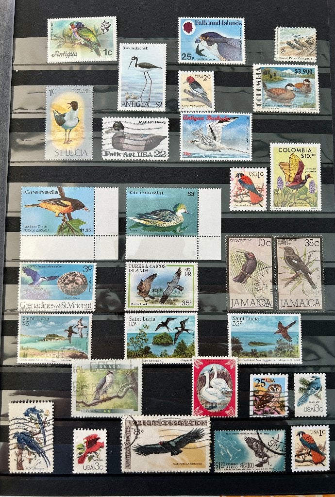 Vogels Amerika, Postzegels en Munten, Verzenden, Dier of Natuur