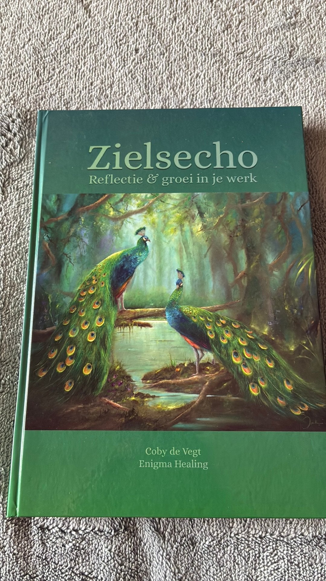 Coby de Vegt - Zielsecho, Achtergrond en Informatie, Nieuw, Ophalen of Verzenden, Coby de Vegt