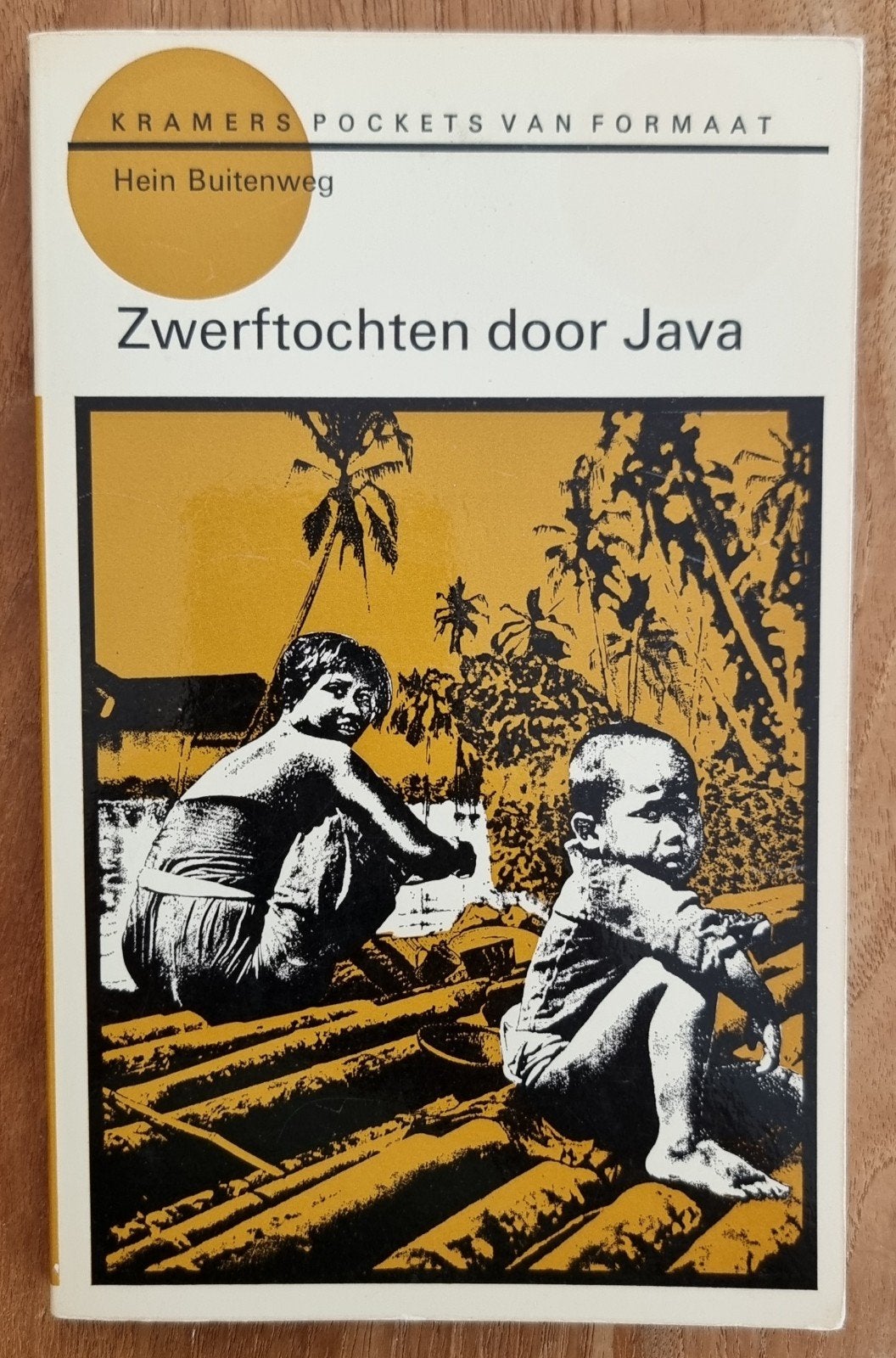 Zwerftochten door Java - Hein Buitenweg - IGST - 1947, Boeken, Ophalen of Verzenden, Gelezen