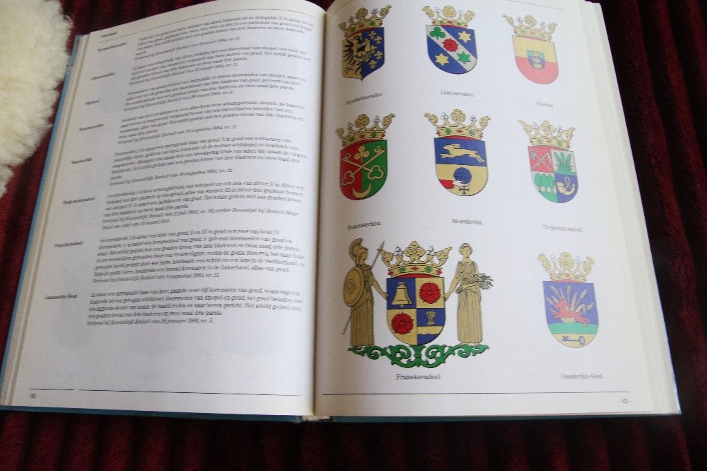 Gemeentewapens in Nederland 1914-1989, Ophalen of Verzenden, Gelezen