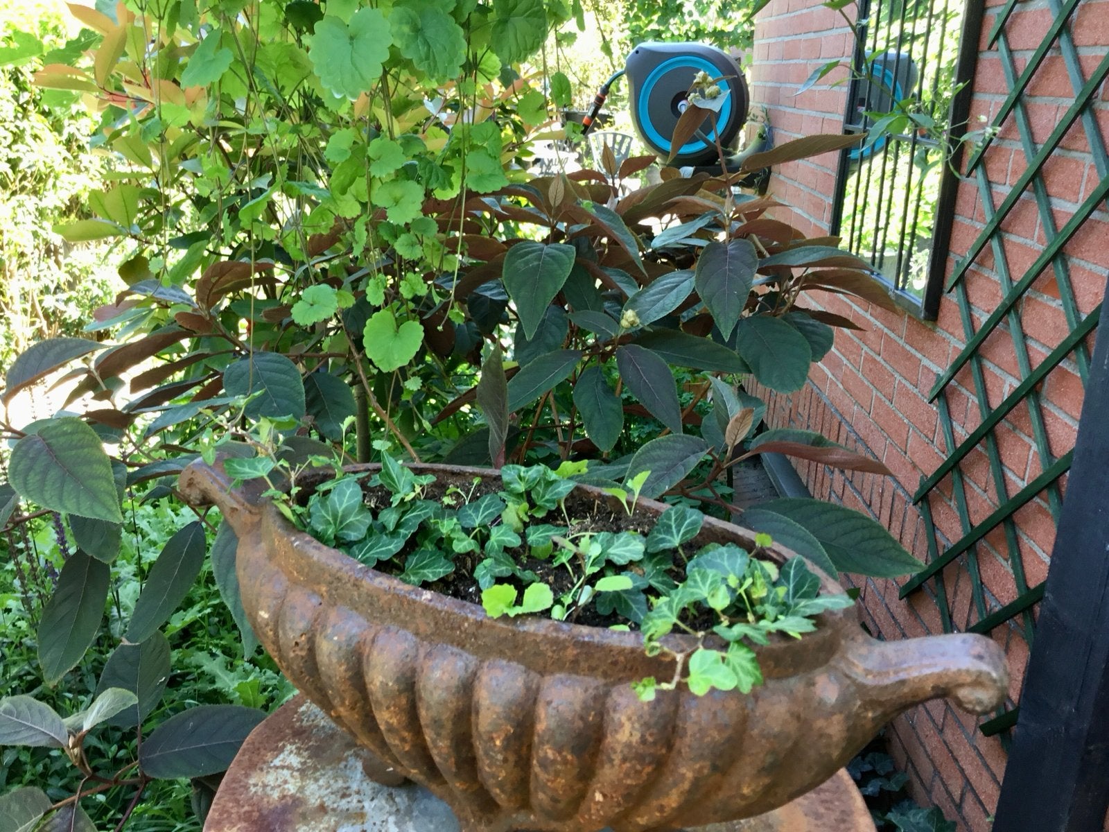 Antieke gietijzeren jardinière, Tuin en Terras, Ophalen, Gebruikt, Minder dan 60 cm, Binnen
