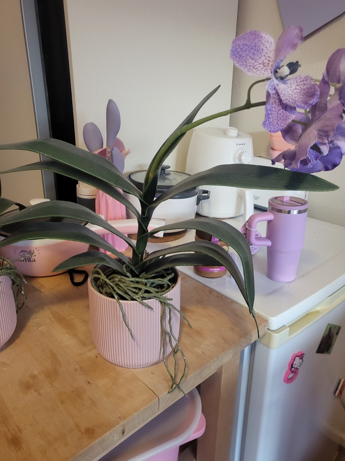 2 realistische kunst orchideeën, Ophalen, Onderhoudsvrij, Kunstplant, Zo goed als nieuw
