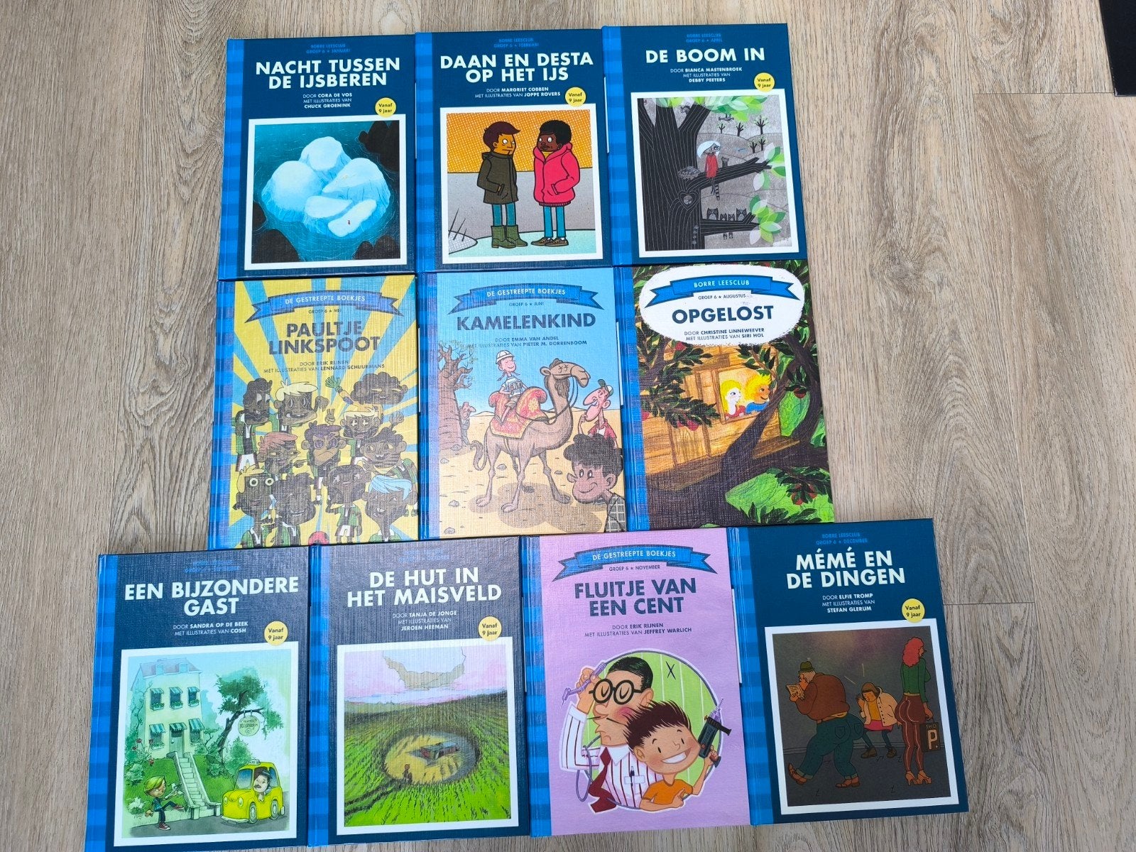 10 Borre boekjes groep 6, Ophalen of Verzenden, Zo goed als nieuw, Jeroen Hoogerwerf, Fictie algemeen