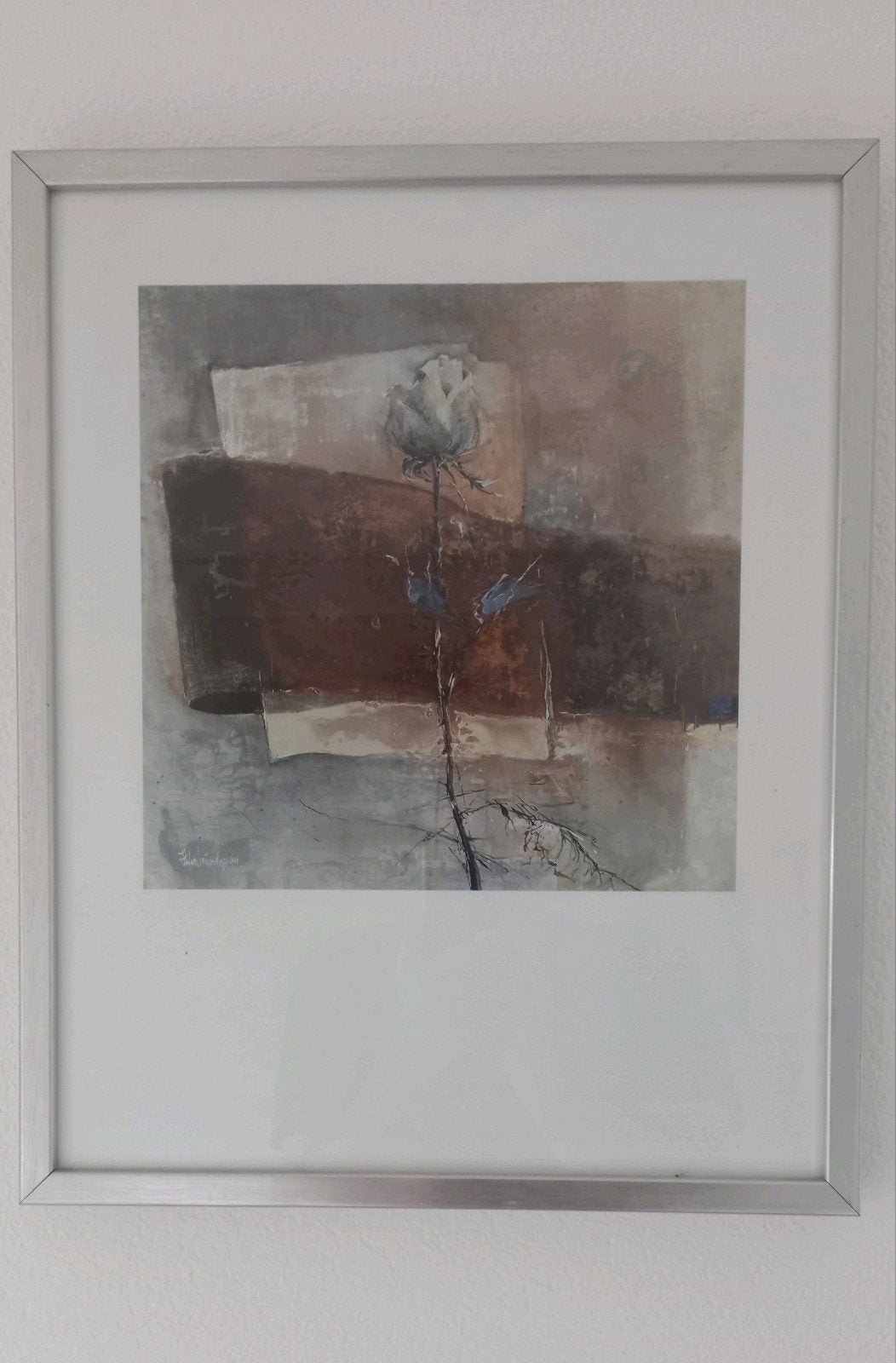 Reproductie afbeelding roos in aluminium lijst 52x42 cm, Ophalen of Verzenden, Print, Achter glas, Bloemen