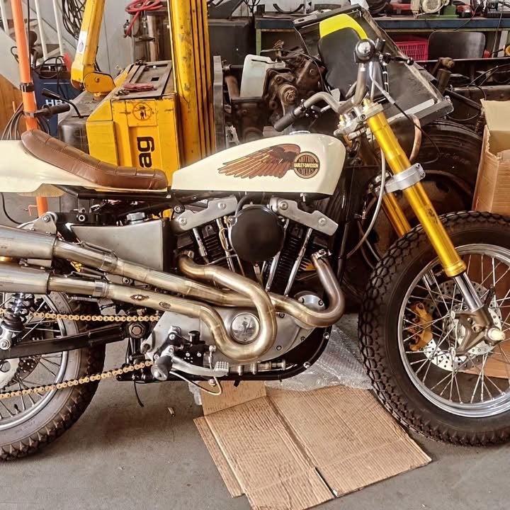 Harley-Davidson Ironhead 1000 Sportster - Unieke Custom, Motoren, 2 cilinders, Motorrijbewijs A, Gebruikt, Particulier