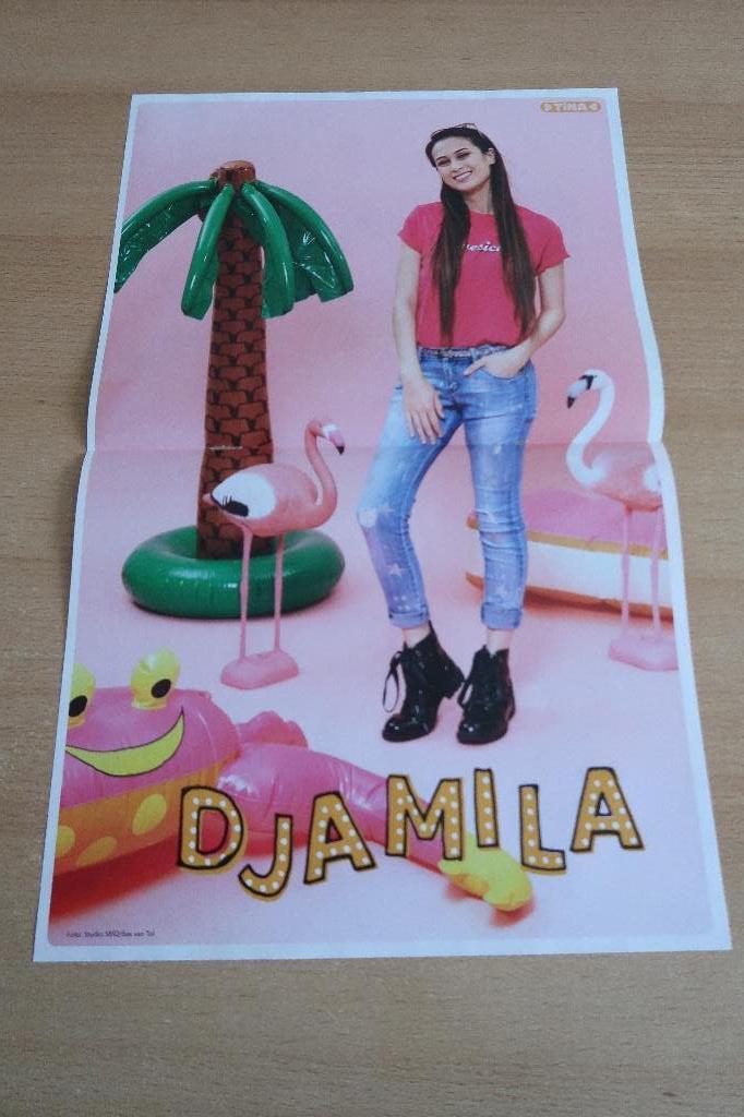 Meisje Djamila poster, Ophalen of Verzenden, Nieuw, Poster, Artwork of Schilderij