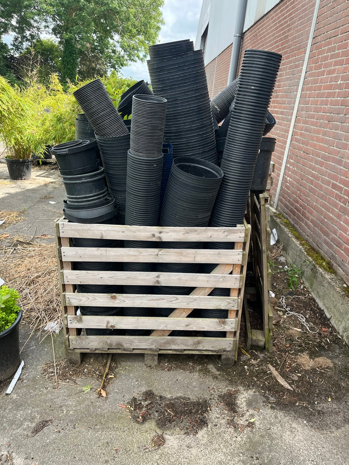 Gratis Boxpallet vol met diverse kweekpotten (C1-C10), Kunststof, Gebruikt, 40 cm of meer, Rond