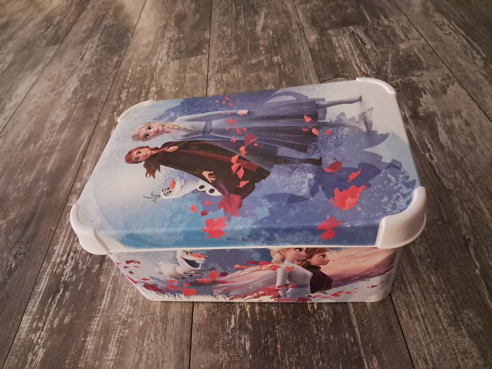 Frozen opbergdoos met deksel, Ophalen of Verzenden, Zo goed als nieuw, Meisje