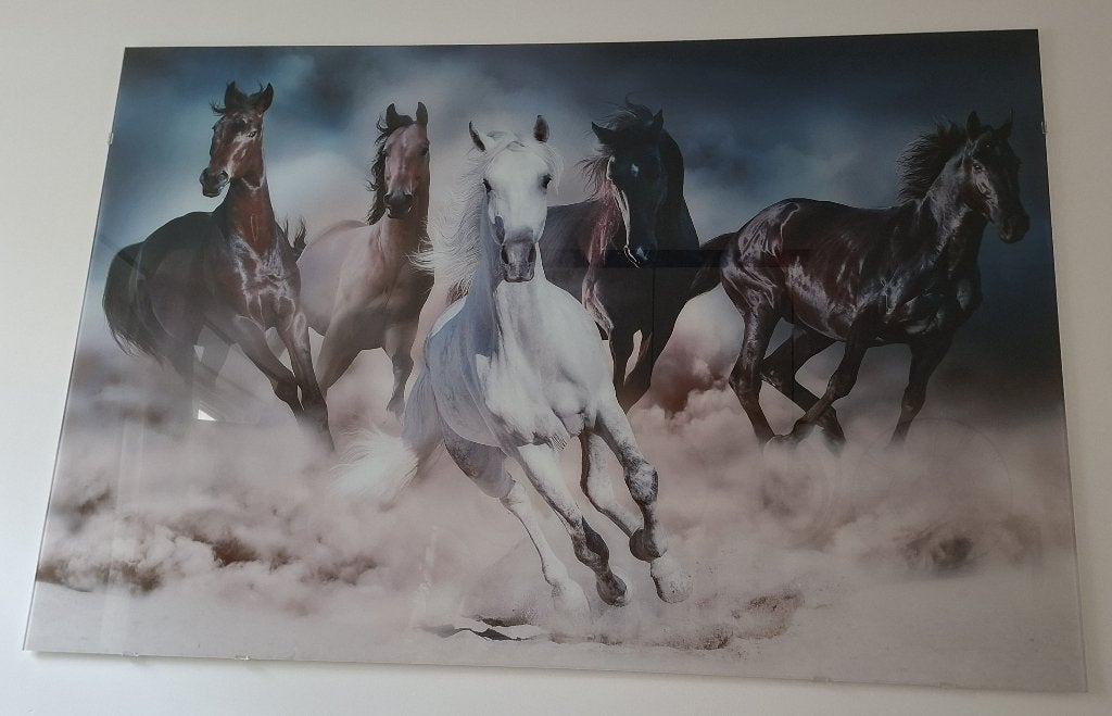 glasschilderij 5 paarden, Ophalen, Zo goed als nieuw, 125 cm of meer, Schilderij
