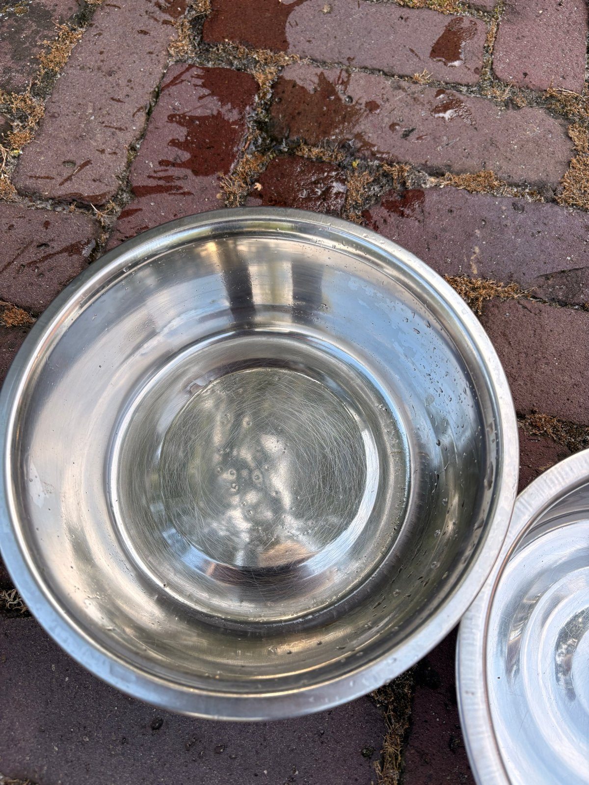 Hondevoer bakken groot (30 cm) klein (20 cm), Ophalen of Verzenden, Zo goed als nieuw
