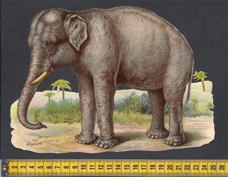 Olifant op steppe antiek poezieplaatje (597), Ophalen of Verzenden