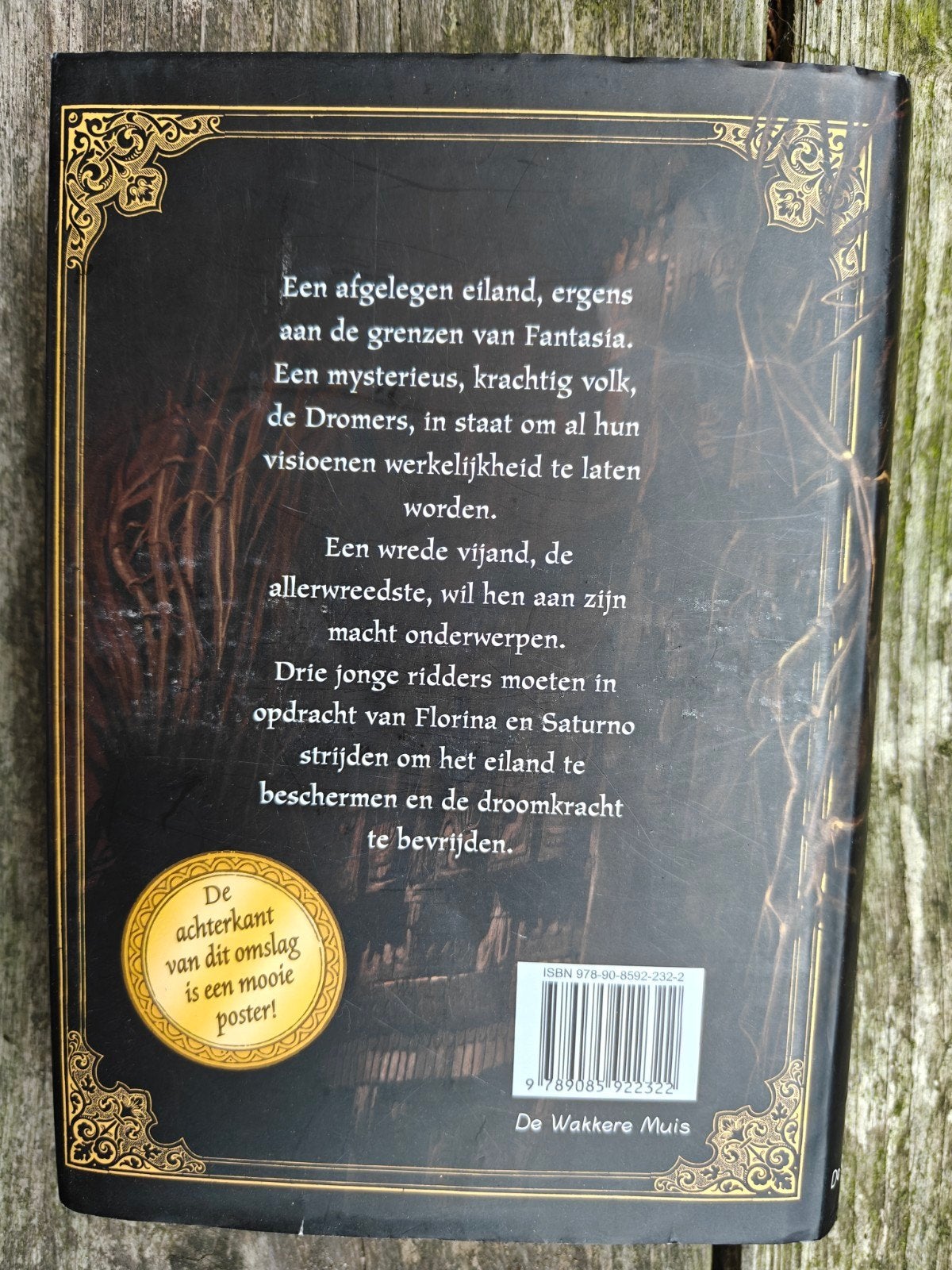 Het dromen Labyrint., Ophalen of Verzenden, Zo goed als nieuw