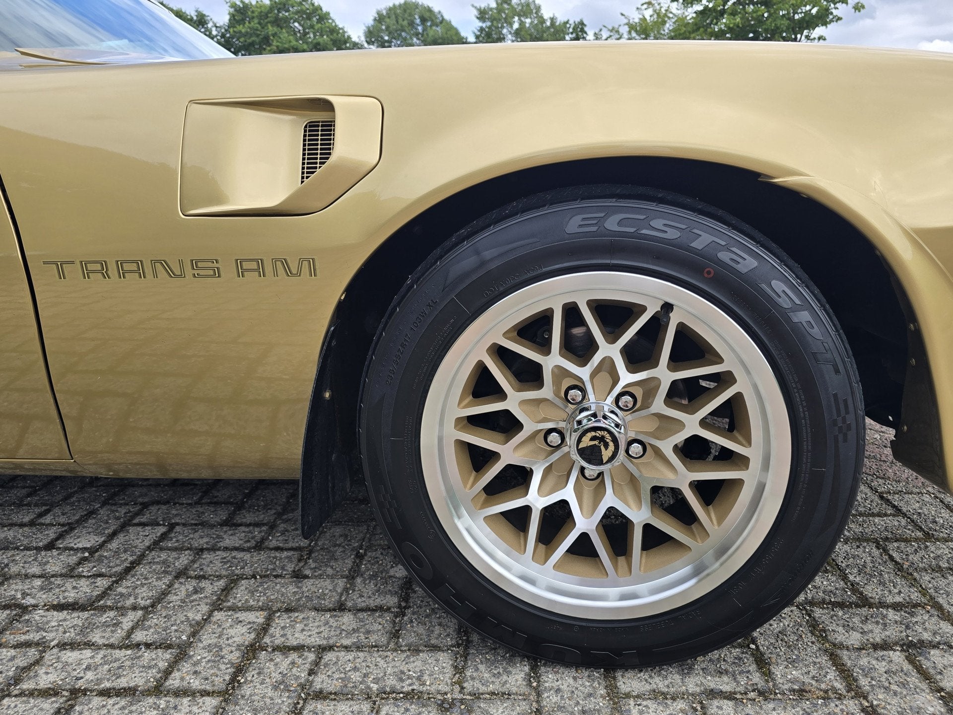 Pontiac Firebird Trans Am 6.6 FW 87 Y88 GOLD SPECIAL EDITION, foto 7