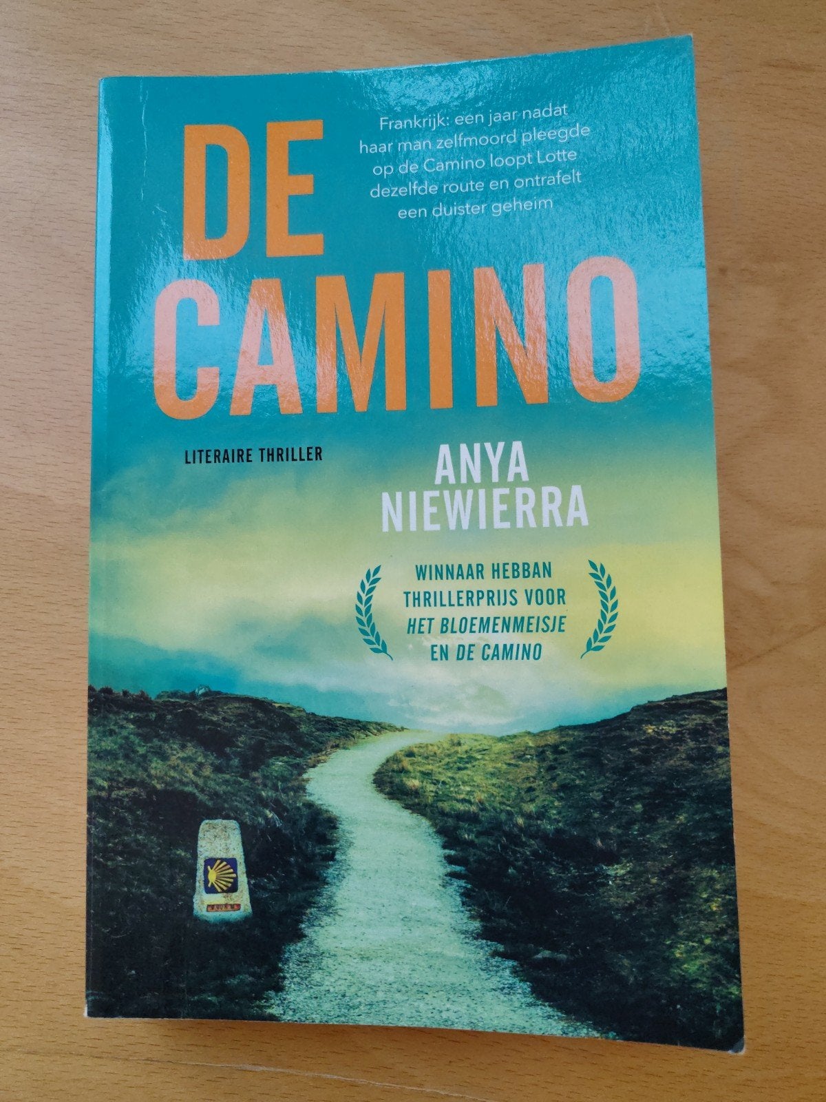 De Camino - Anya Niewierra (Literaire thriller), Boeken, Thrillers, Ophalen of Verzenden, Zo goed als nieuw, Anya Niewierra, Nederland