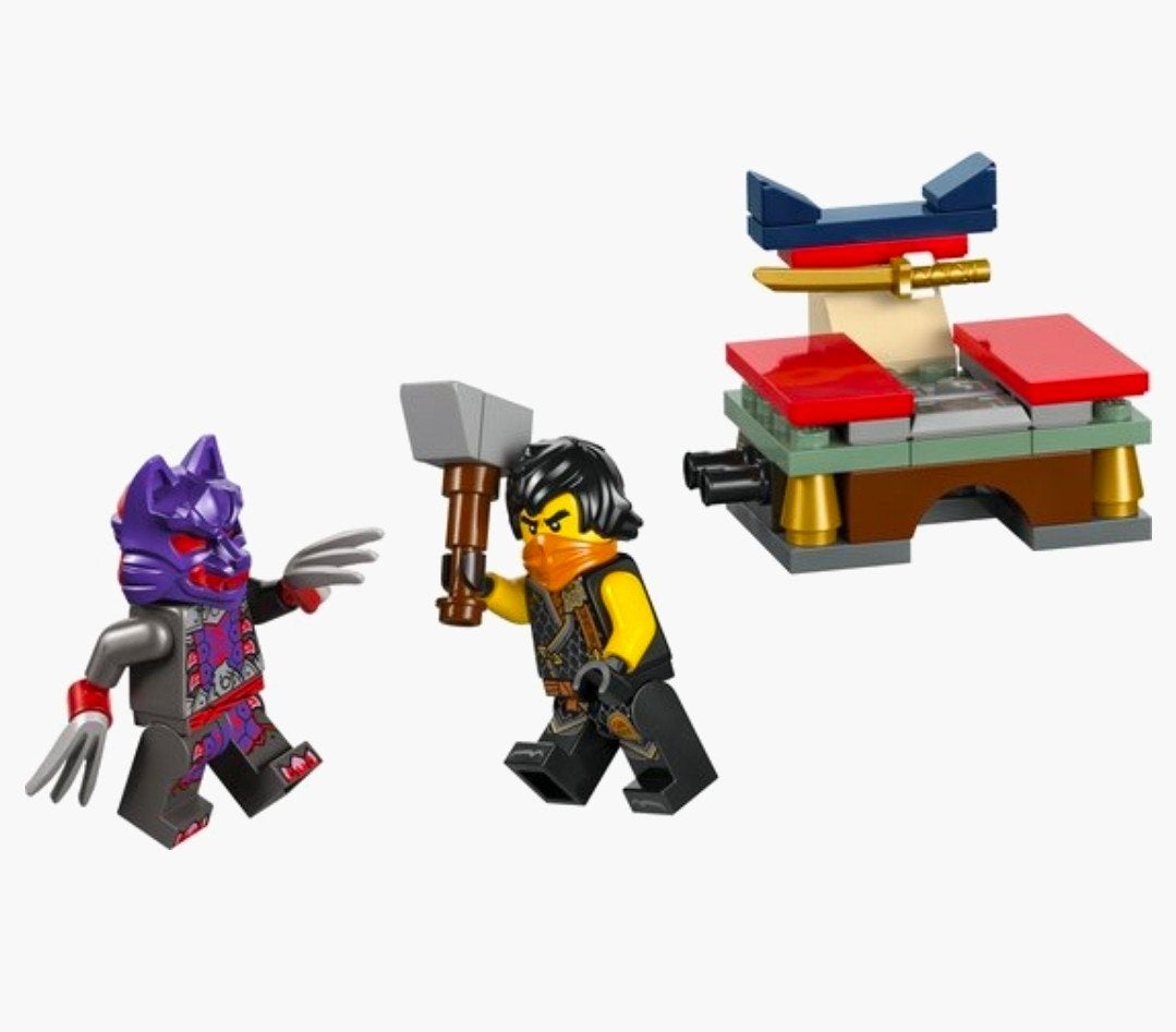 LEGO Ninjago Tournament Training Ground (30675), Ophalen of Verzenden