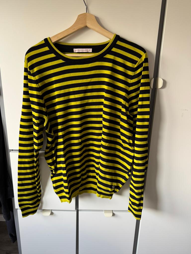 Studio Anneloes gestreepte trui - Zwart/Geel, Kleding | Dames, Truien en Vesten, Ophalen of Verzenden, Zo goed als nieuw, Maat 46/48 (XL) of groter