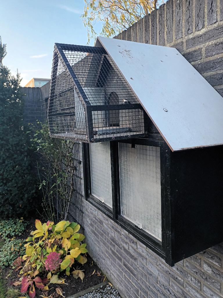 Duivenkooi/ duiventil, Dieren en Toebehoren, Vogels | Duiven, Geslacht onbekend, Overige soorten
