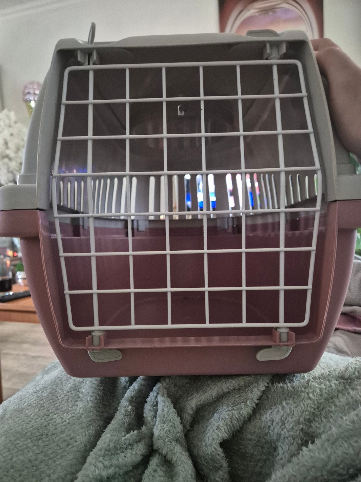katten reis mand, Dieren en Toebehoren, Ophalen of Verzenden, Nieuw