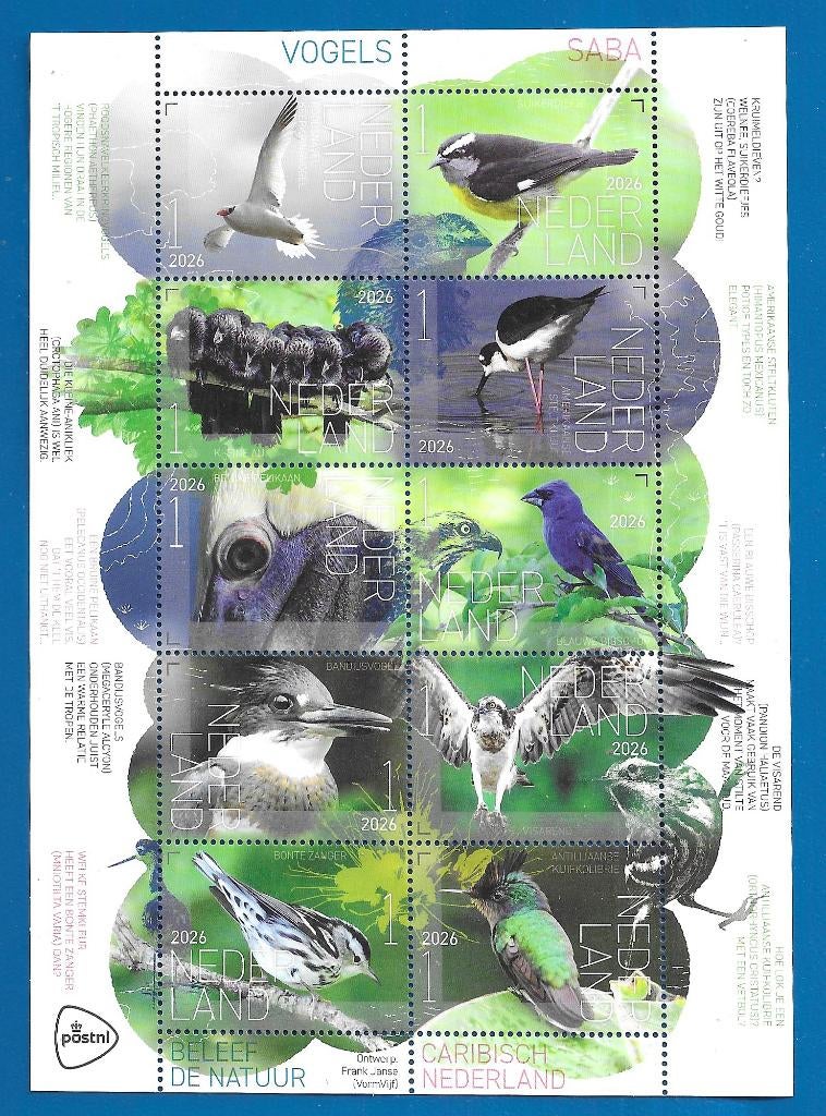 Beleef de natuur - vogels Saba (postzegelvel) - 2026, Postzegels en Munten, Verzenden, Na 1940, Postfris