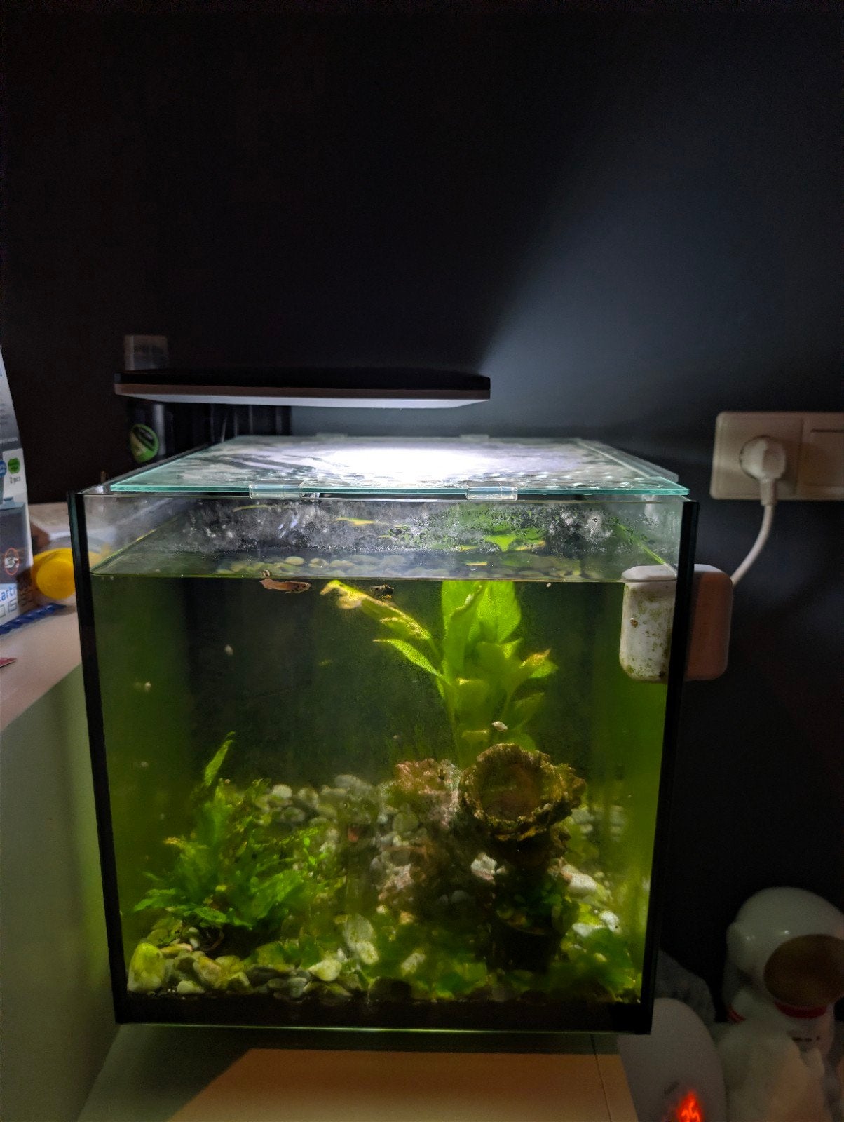 aquarium 30 liter Qubiq, Dieren en Toebehoren, Vissen | Aquaria en Toebehoren, Ophalen, Gevuld zoetwateraquarium, Overige merken